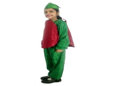 Onion Costume 
