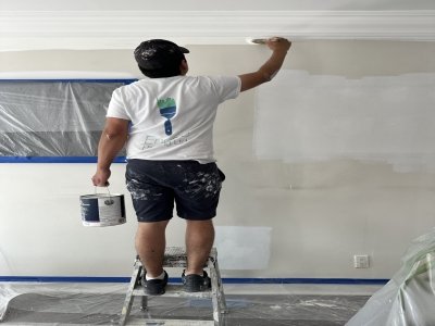 Painter need a painter 
