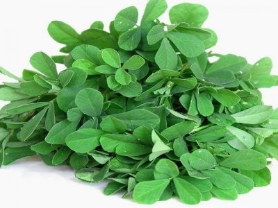  Fenugreek Methi 300 to 500g