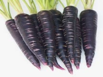 Carrot Black