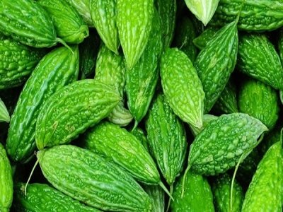 Bitter Gourd  Karela