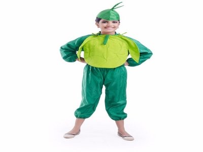 Cabbage Costume For Sale 