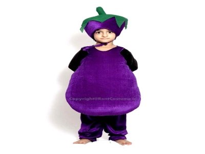 Brinjal Costume 