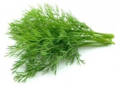 Dill leaves Soya 250  300g