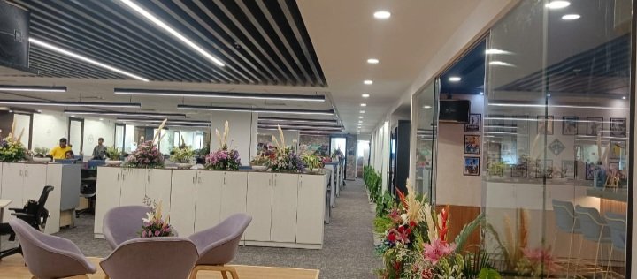 The interior concept 