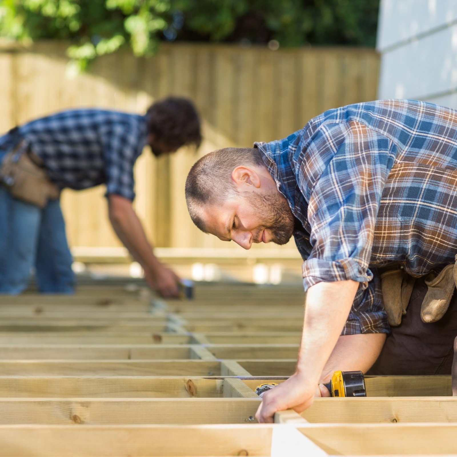 Carpenter 