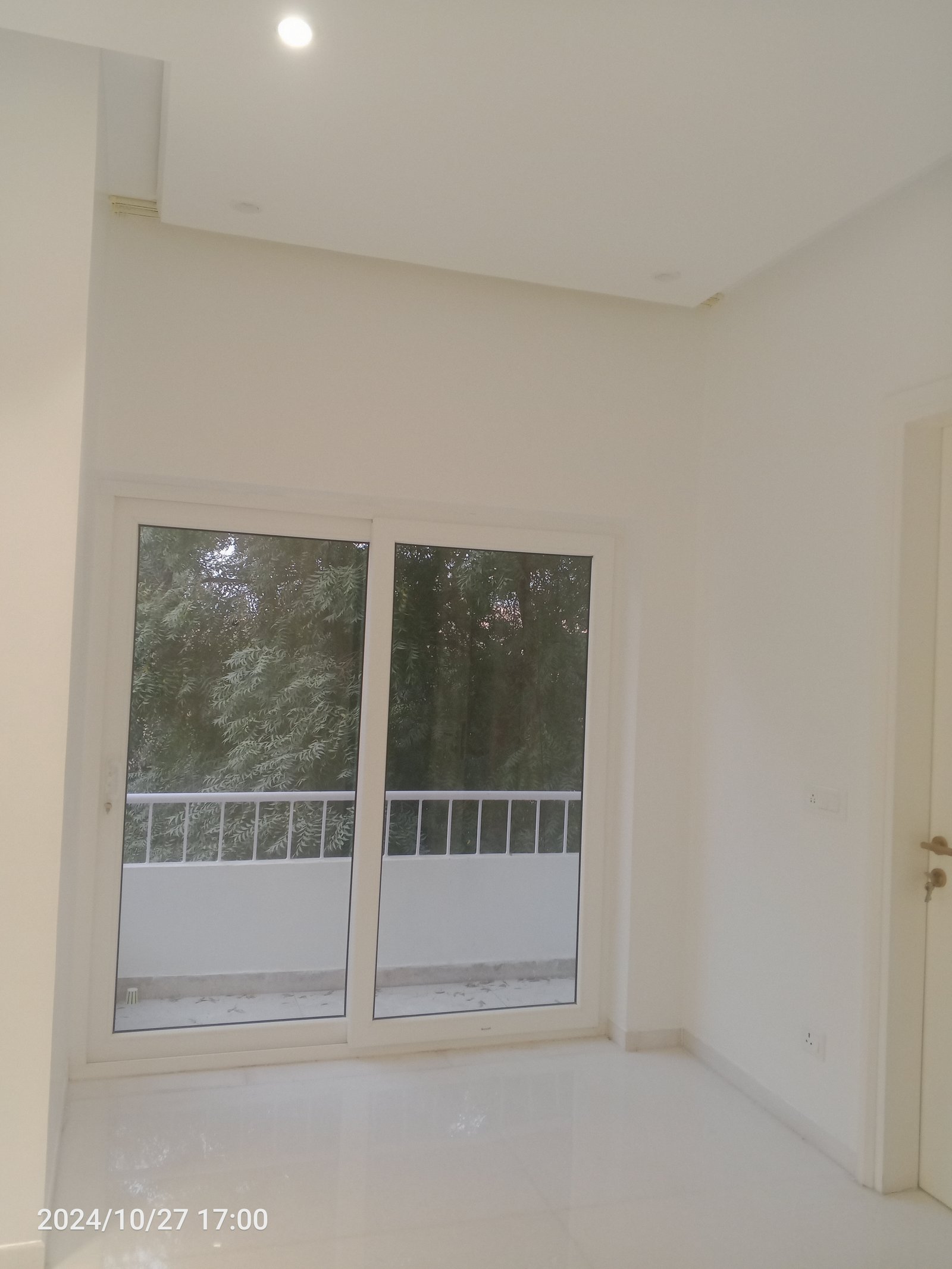 Wall painter 